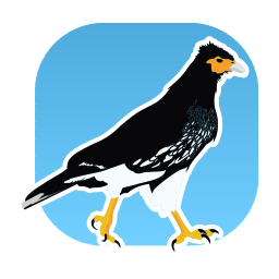 caracara Logo